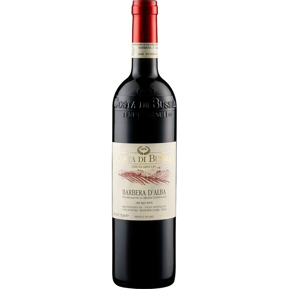 2022 Barbera d'Alba DOC Costa du Bussia Piemont/Italien 0,75 l