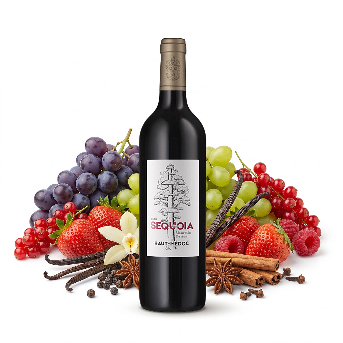 2016 Sequoia de Mauvesin Barton - Château Mauvesin Barton - Bordeaux, Frankreich