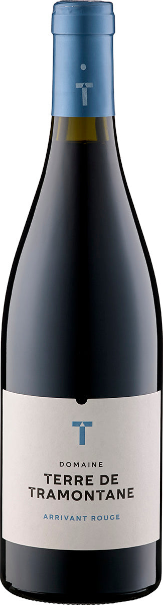 2020 Terre de Tramontane Arrivant Rouge AOP Languedoc Terre de Tramontane Languedoc-Roussillon/Frankreich 0,75 l