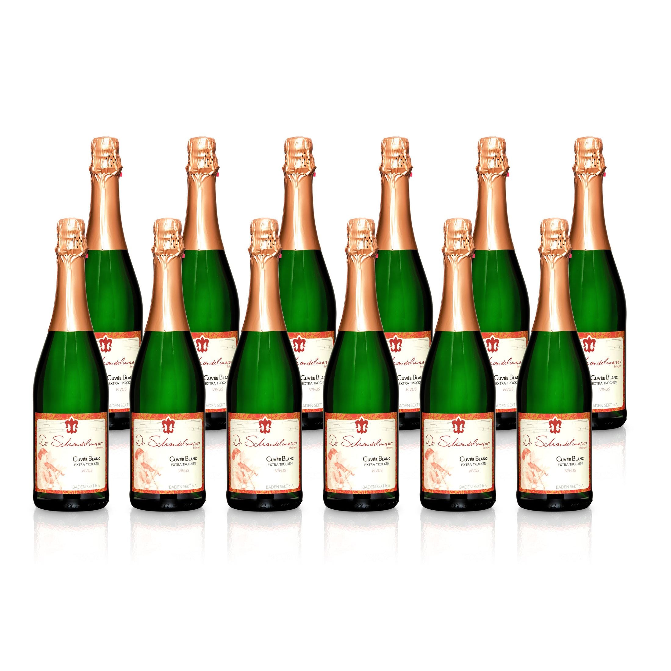 Sekt Cuvée Blanc extra-trocken - Weingut Dr. Schandelmeier