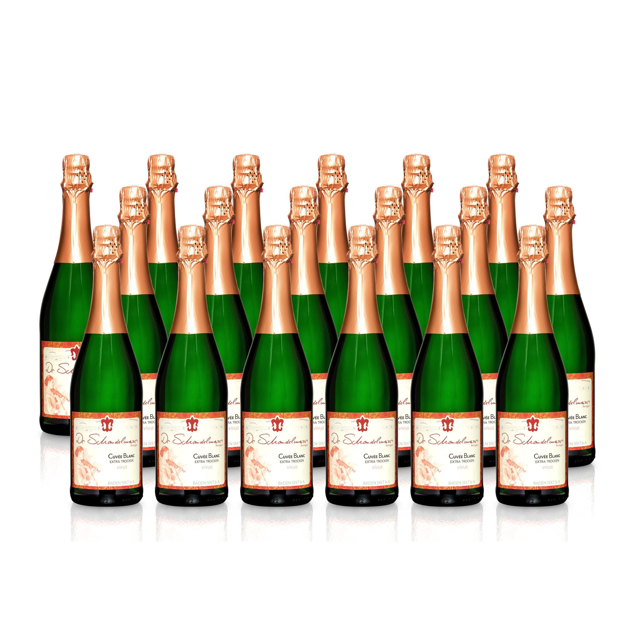 Sekt Cuvée Blanc extra-trocken - Weingut Dr. Schandelmeier
