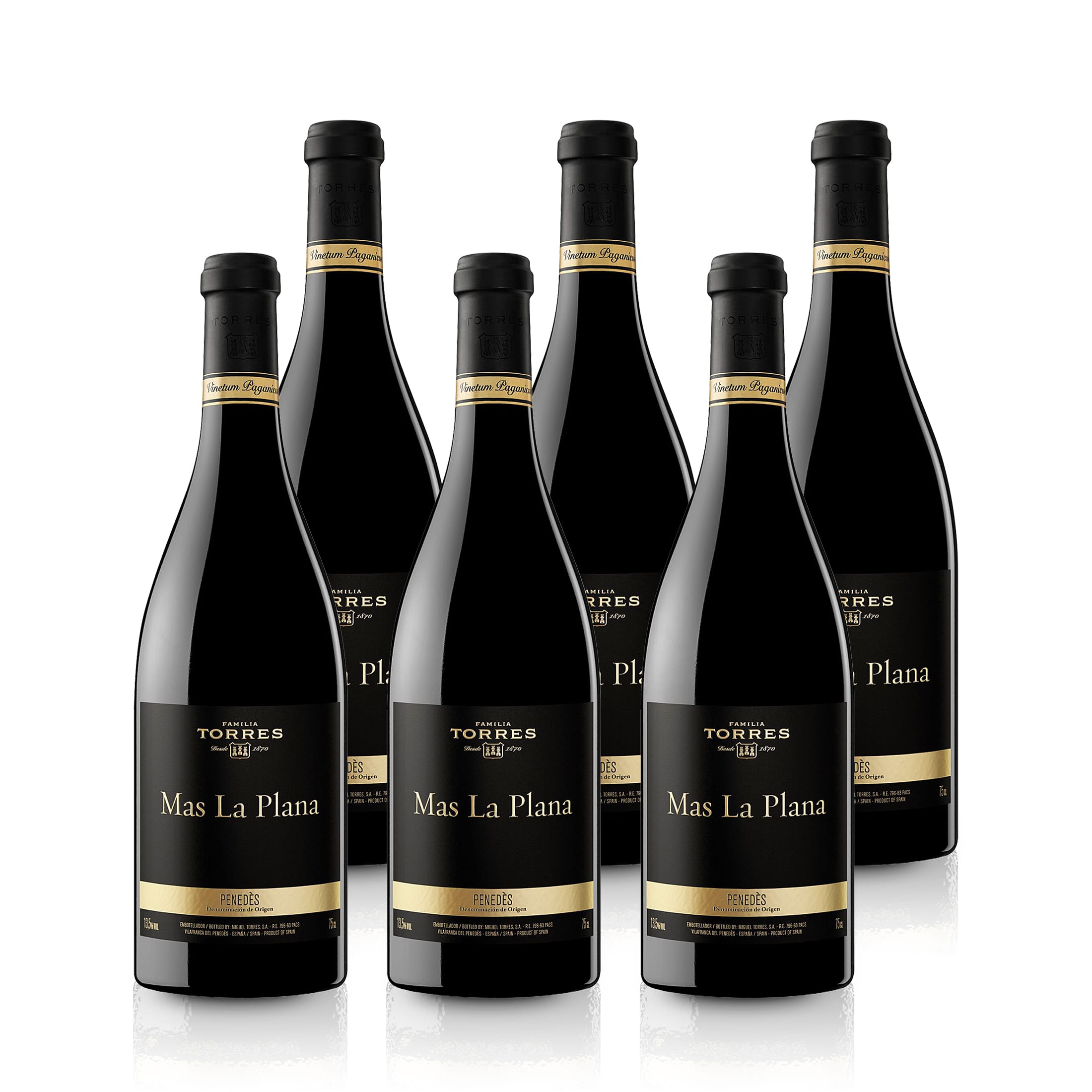 2019 Torres Mas La Plana Cabernet Sauvignon - Spain