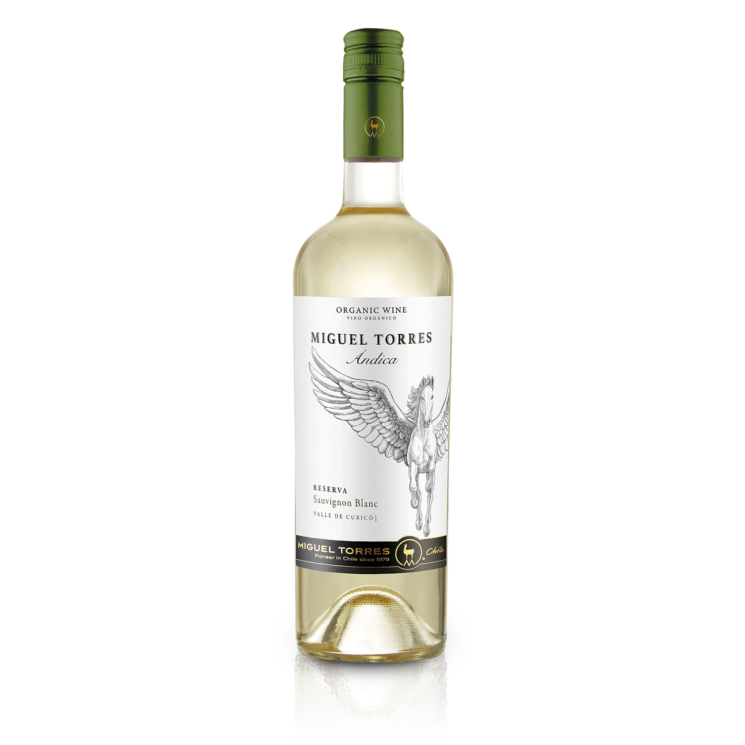 Feinste-Weine Miguel Torres Chile - Probierpaket - 3 x 2 Chilenische Weine im Tasting Paket (6x0,75l)