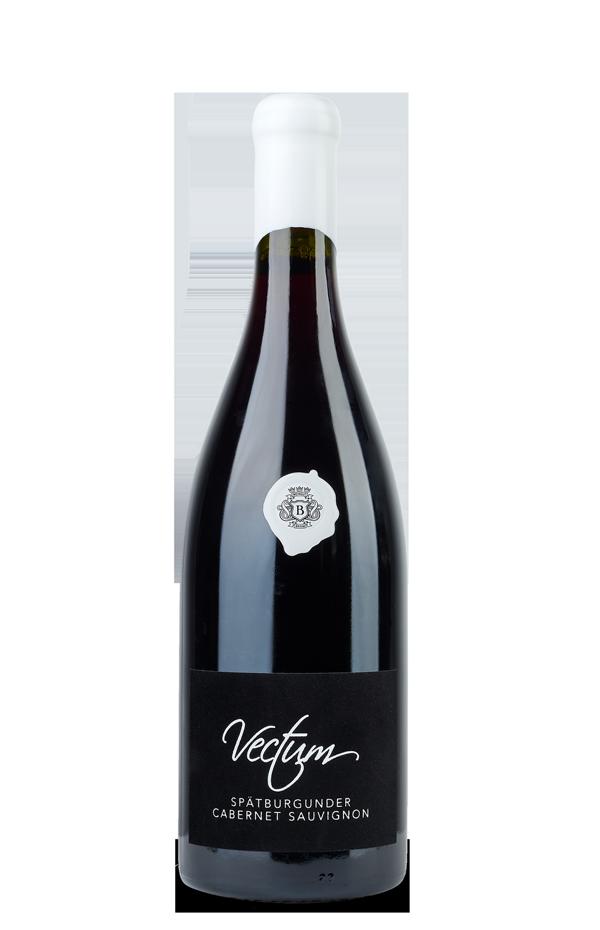 Briem Spätbg. & Cabernet Sauvignon 2020 13.95 % vol. 0,75l