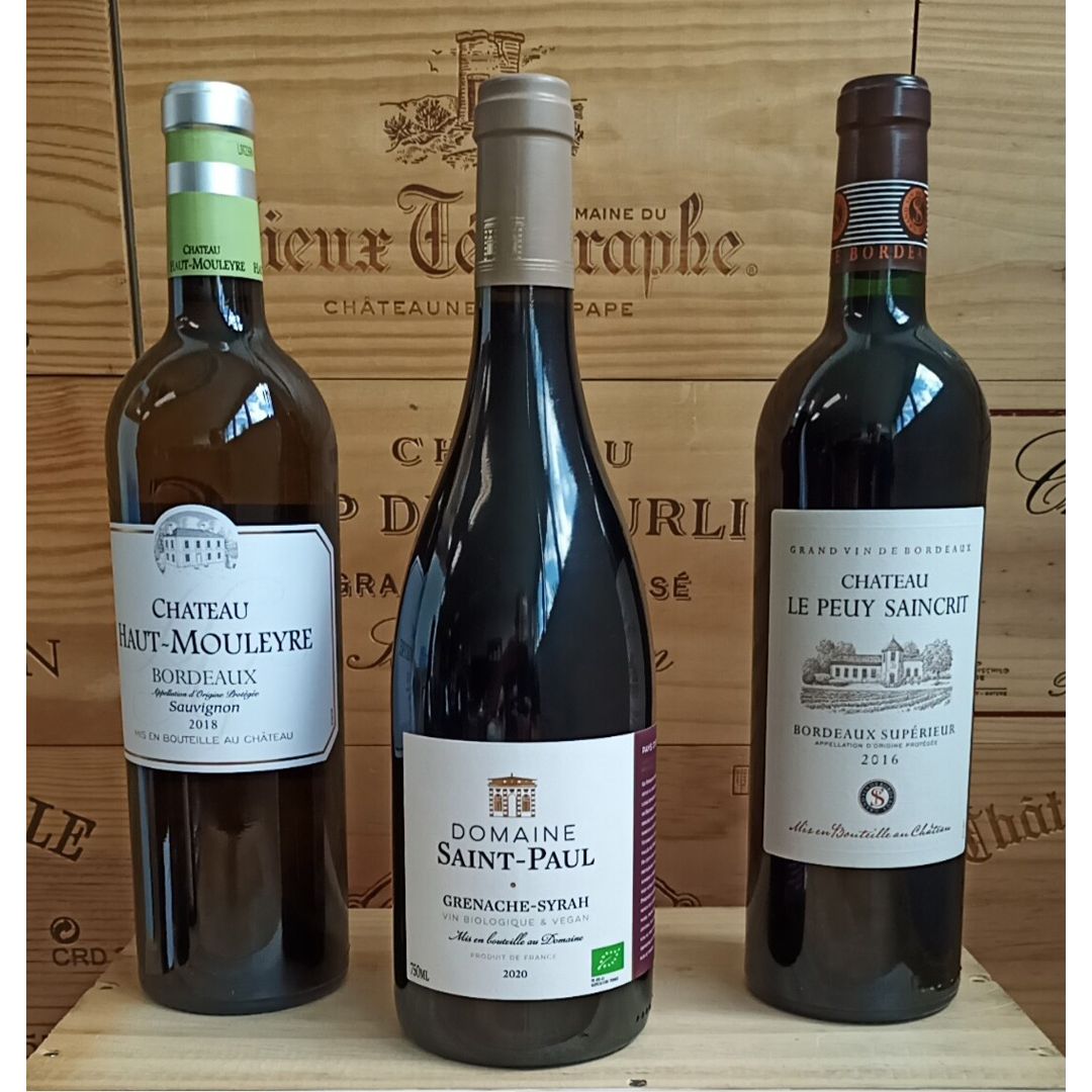 Feinste Weine - Weinselektion 6er Frankreich - Bordeaux / Pays DO'C Restposten #3
