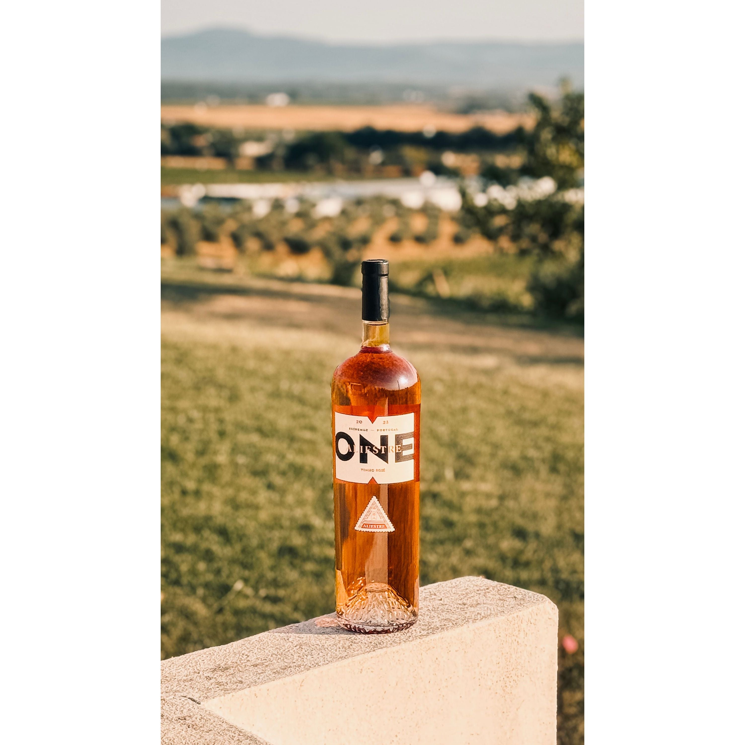 ONE Rosé 2023