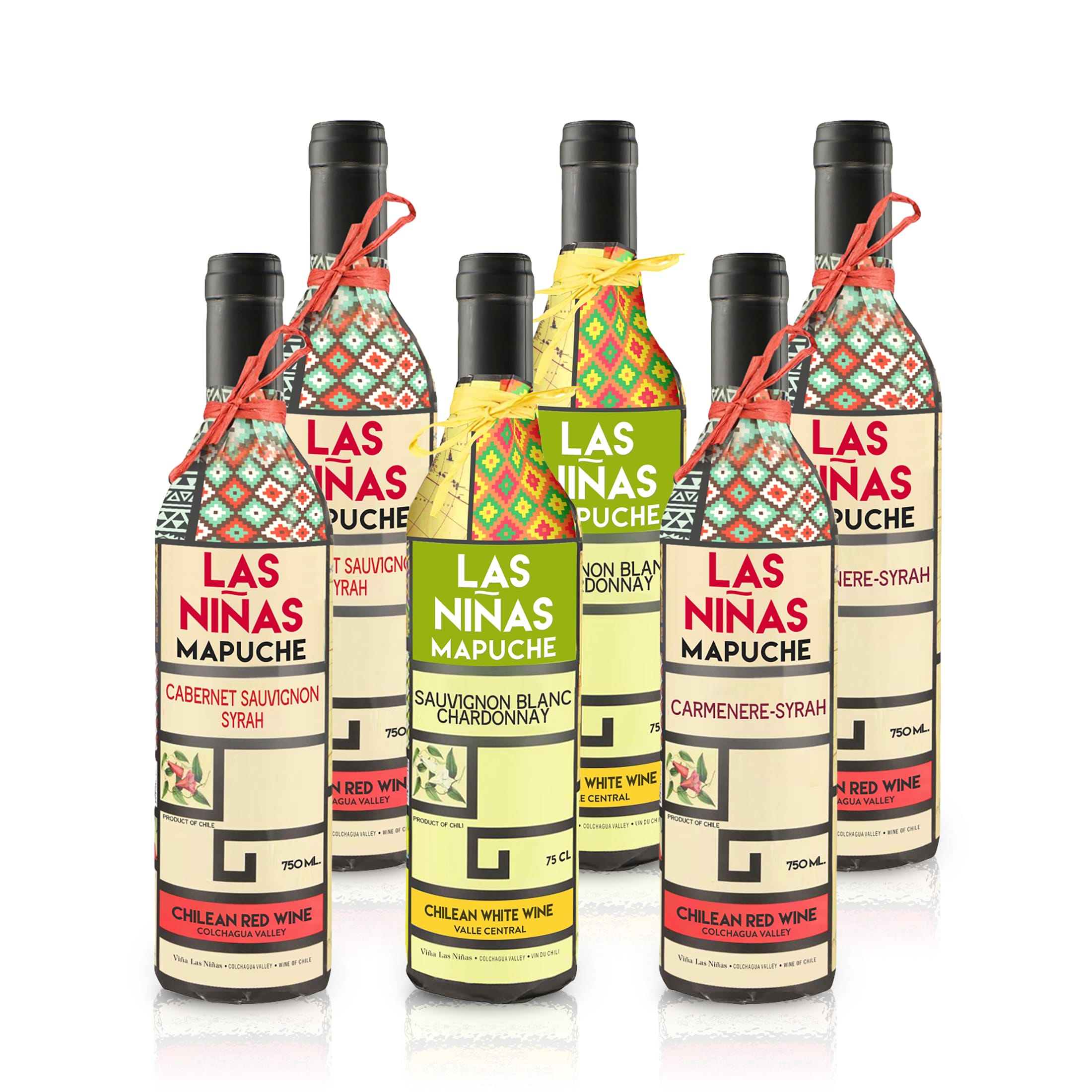 Feinste-Weine Las Niñas MAPUCHE Probierpaket – Rot- und Weißweine aus Chile (6x0,75l)