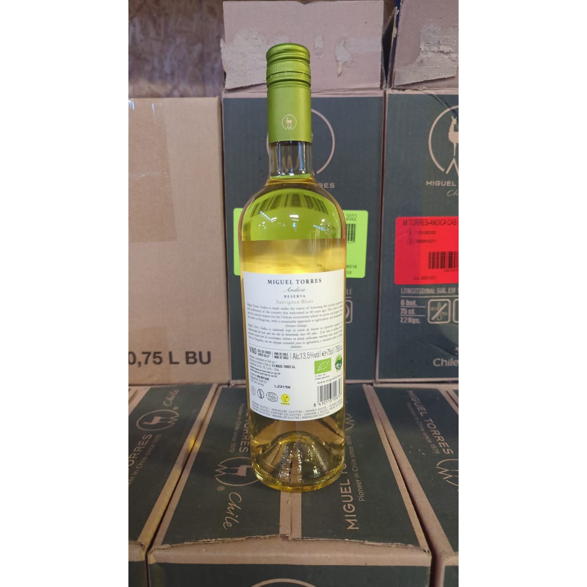 Andica Sauvignon Blanc Reserva - Miguel Torres Chile - White Wine - Chile - Central Valley - Organic