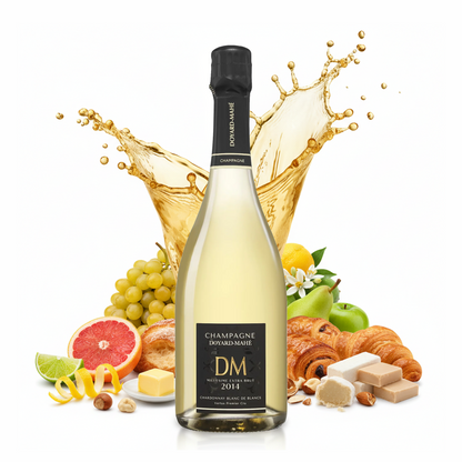 2014 Millésime Blanc de Blanc Extra Brut - Champagne Doyard Mahé - Champagne, Frankreich
