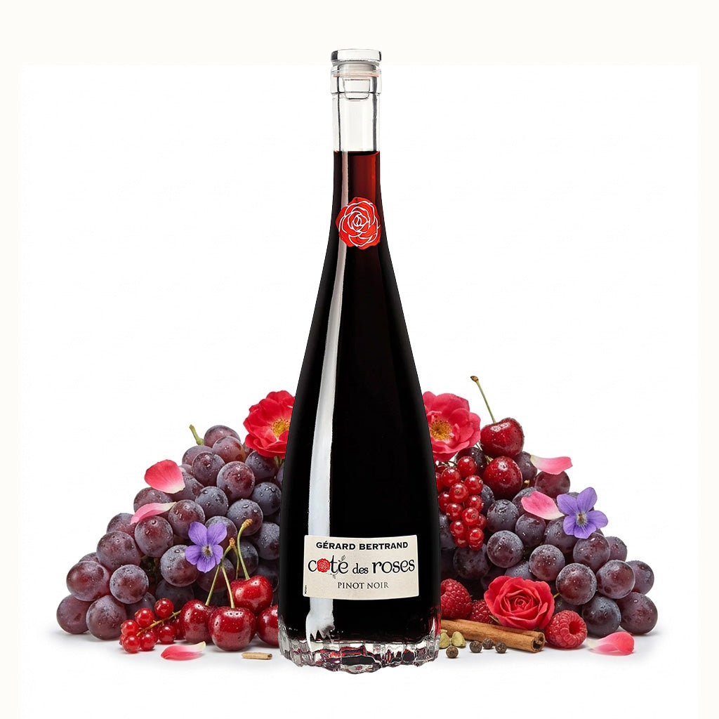 2019 Gerard Bertrand Cote des Roses Pinot Noir - Frankreich