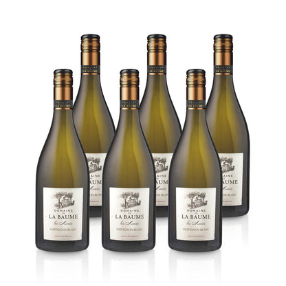 2023 Domaine de la Baume Les Maries Sauvignon Blanc - France