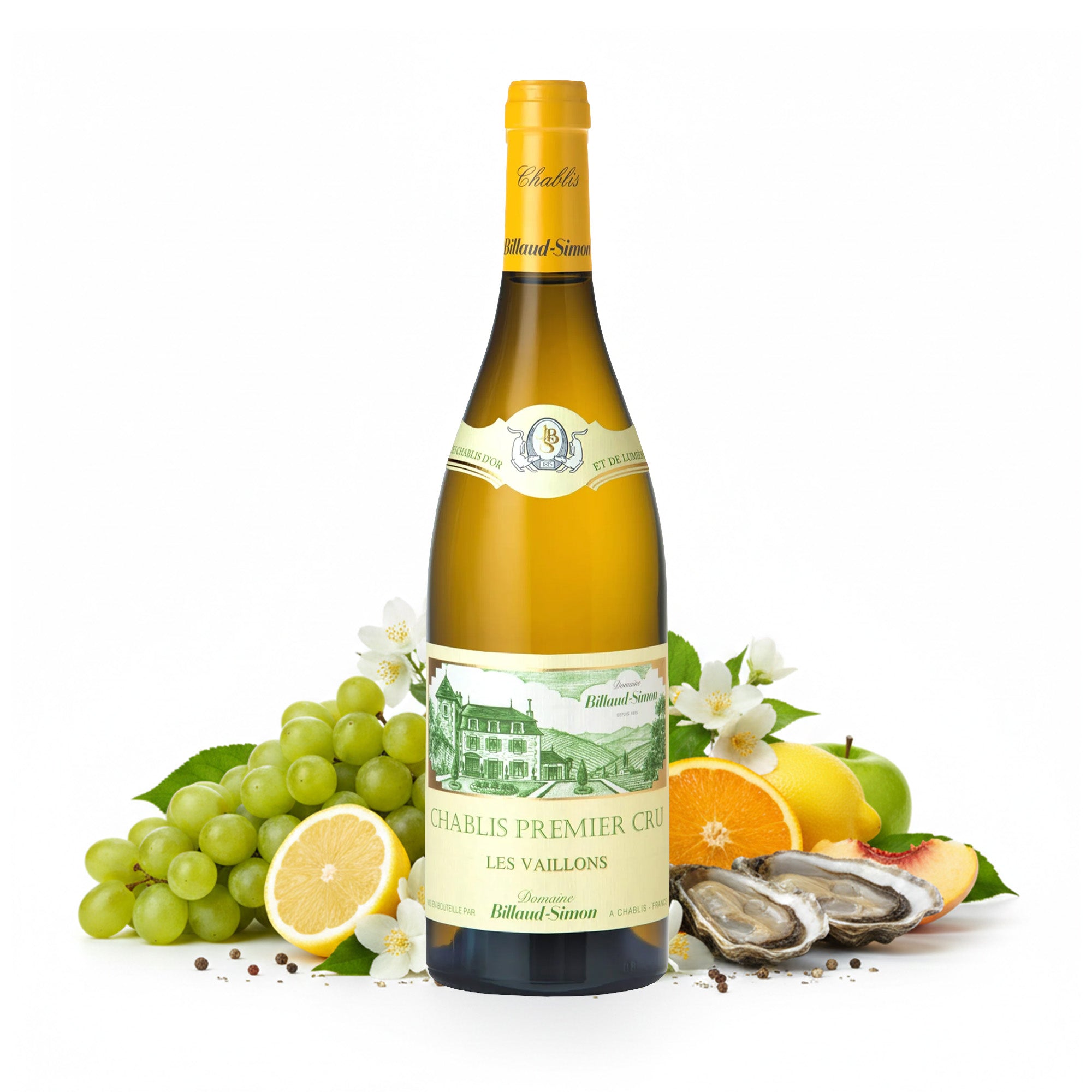 2021 Domaine Billaud-Simon Les Vaillons - Frankreich