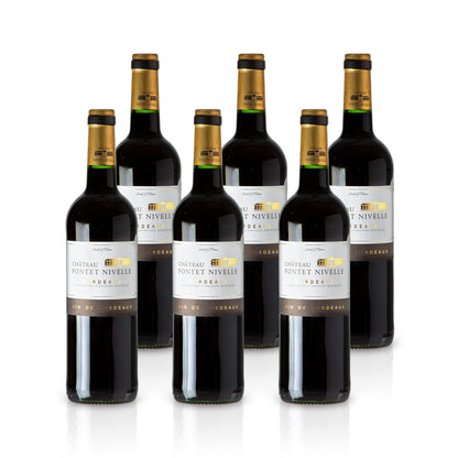2020 Chateau Pontet Nivelle - France
