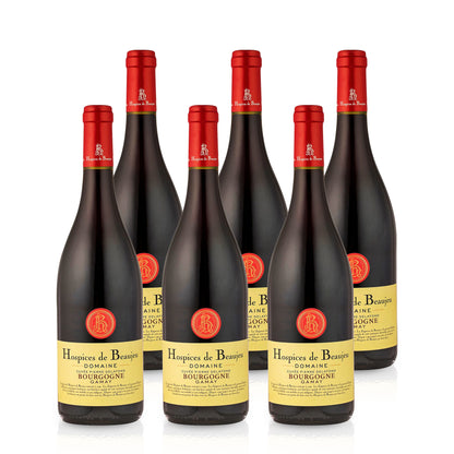 2019 Hospices de Beaujeu Bourgogne Gamay - France