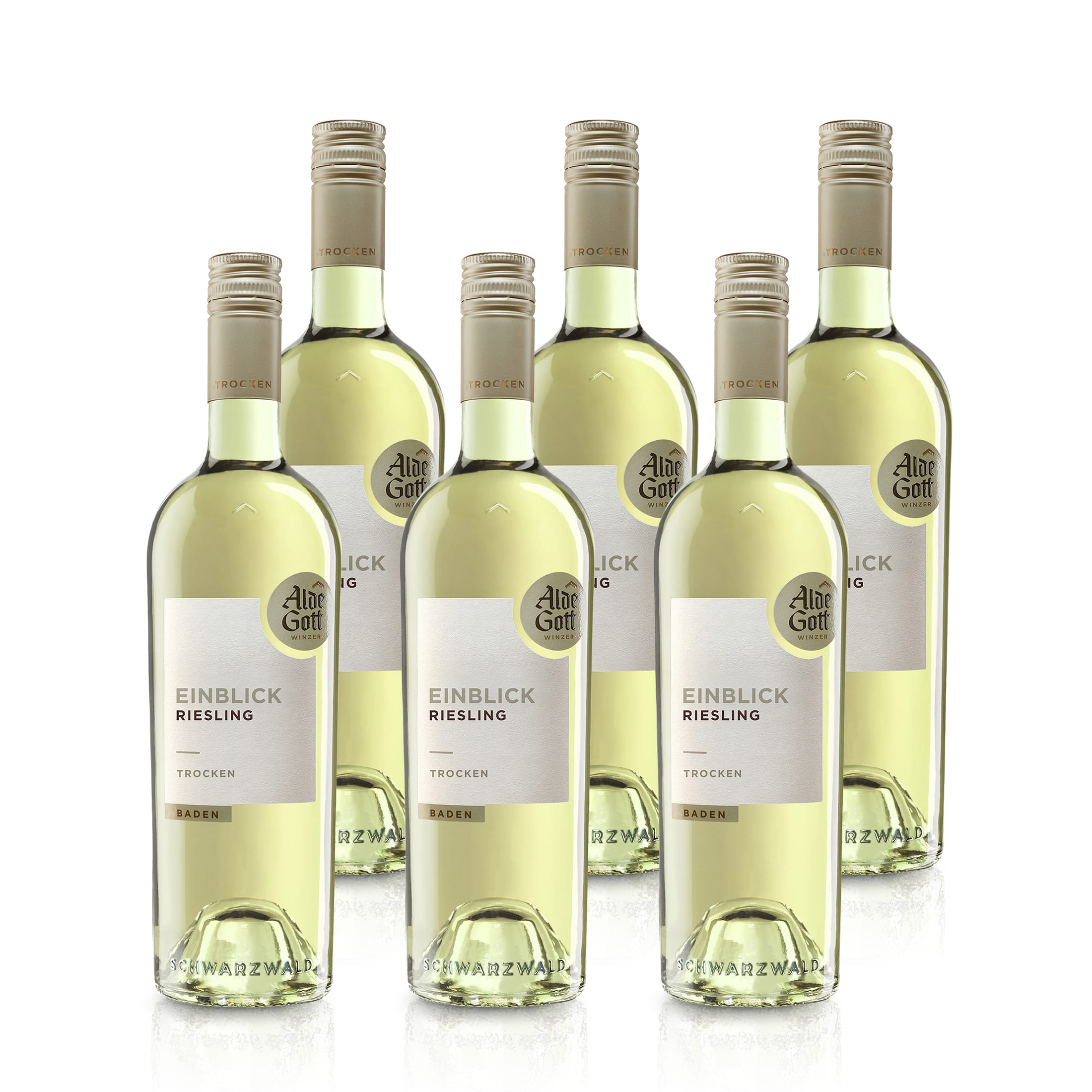 2023 Einblick Riesling Kabinett Dry - Alde Gott | White Wine 0.75L 12% vol.