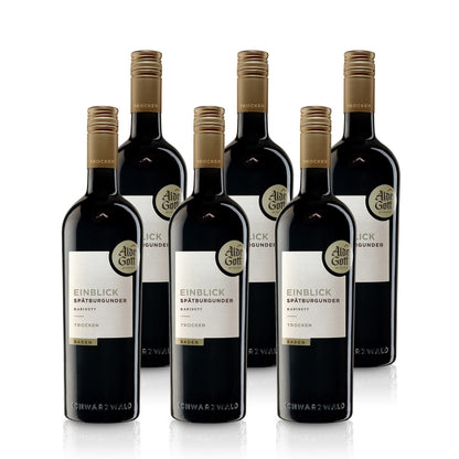2022 Insight Pinot Noir Kabinett dry - Alde Gott | Red Wine 0.75L 13% vol.