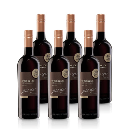 WEITBLICK Spätburgunder Quality Wine 2020 dry - Alde Gott | Red Wine 0.75L 15%