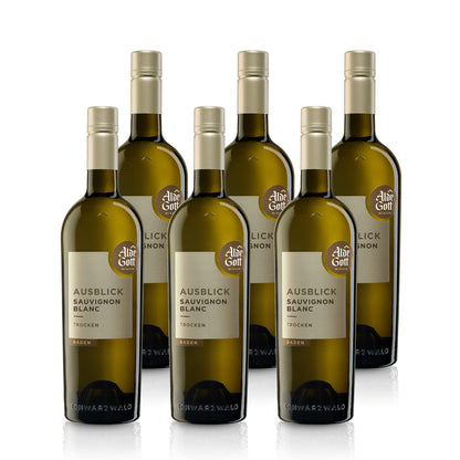 Ausblick Sauvignon Blanc Qualitätswein 2024 trocken - Alde Gott | Weißwein 0,75L 12.5 %vol.