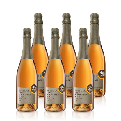 Pinot Noir Rosé Sparkling Wine Traditional Method 2022 dry - Alde Gott | Sparkling Wine 0.75L 12.0 %vol.