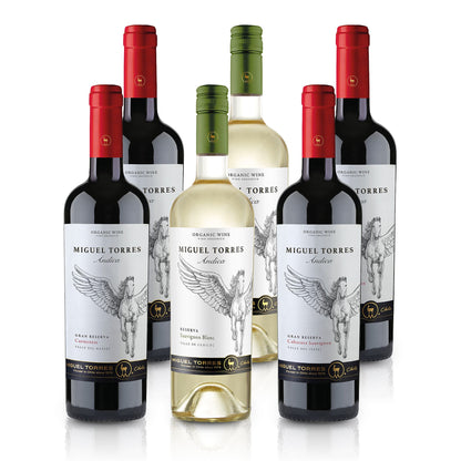 Finest Wines Miguel Torres Chile - Tasting Package - 3 x 2 Chilean Wines in Tasting Package (6x0.75l)