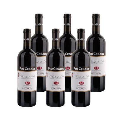 2021 Pio Cesare Dolcetto d'Alba - Italy