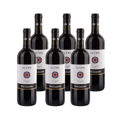 2017 Pio Cesare Oltre Langhe Rosso - Italy