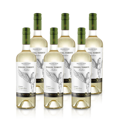 Andica Sauvignon Blanc Reserva - Miguel Torres Chile - Weißwein - Chile - Valle Central - Bio