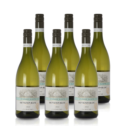 2023 Domaine de la Baume 'La Grande Olivette' Sauvignon Blanc - France