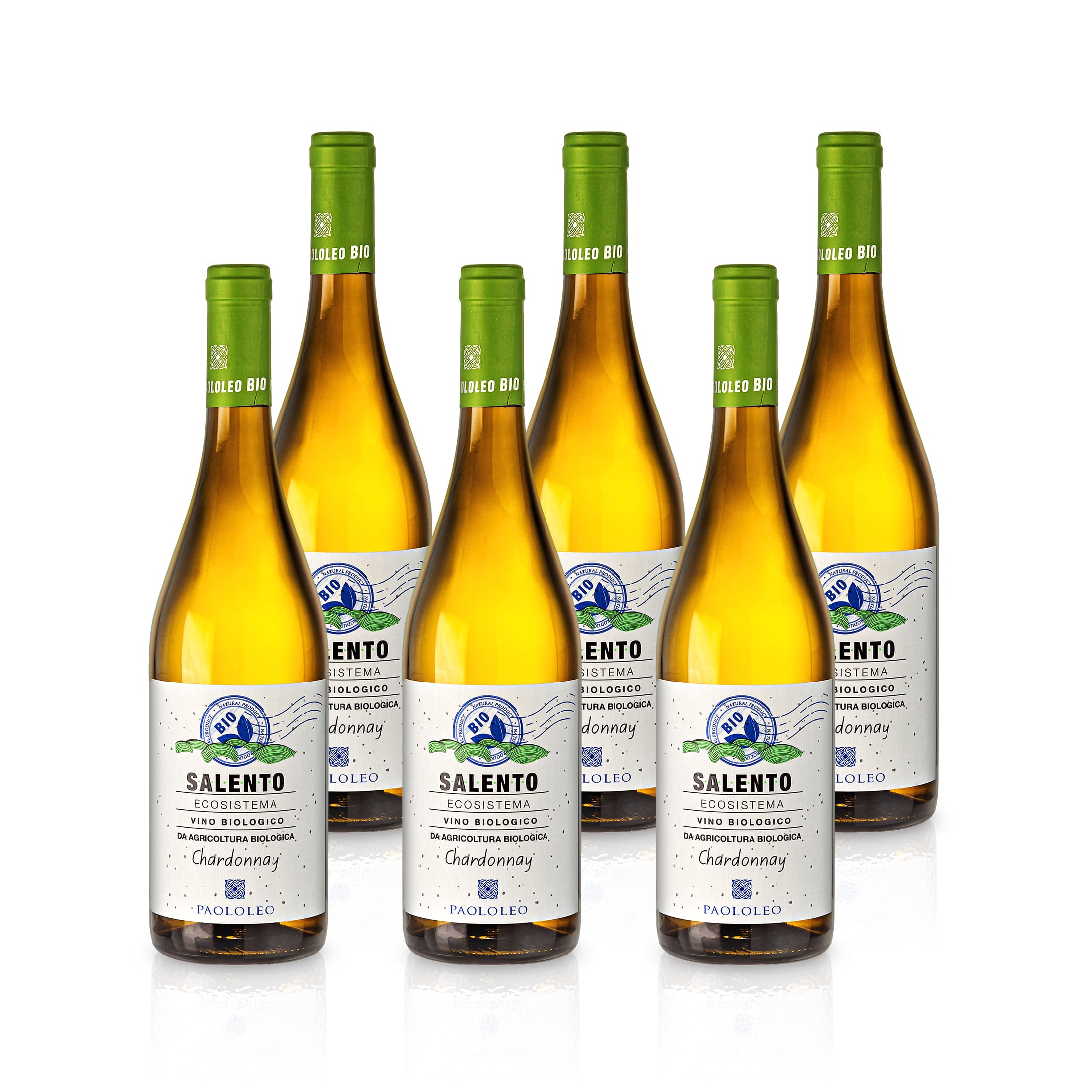 2019 Ecosistema Chardonnay Salento IGT Organic - Paolo Leo (dry)