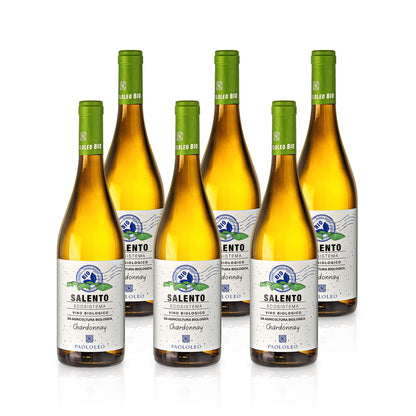 2019 Ecosistema Chardonnay Salento IGT Organic - Paolo Leo (dry)