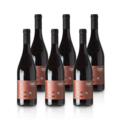 2018 San Lorenzo Montepulciano d'Abruzzo - Italien