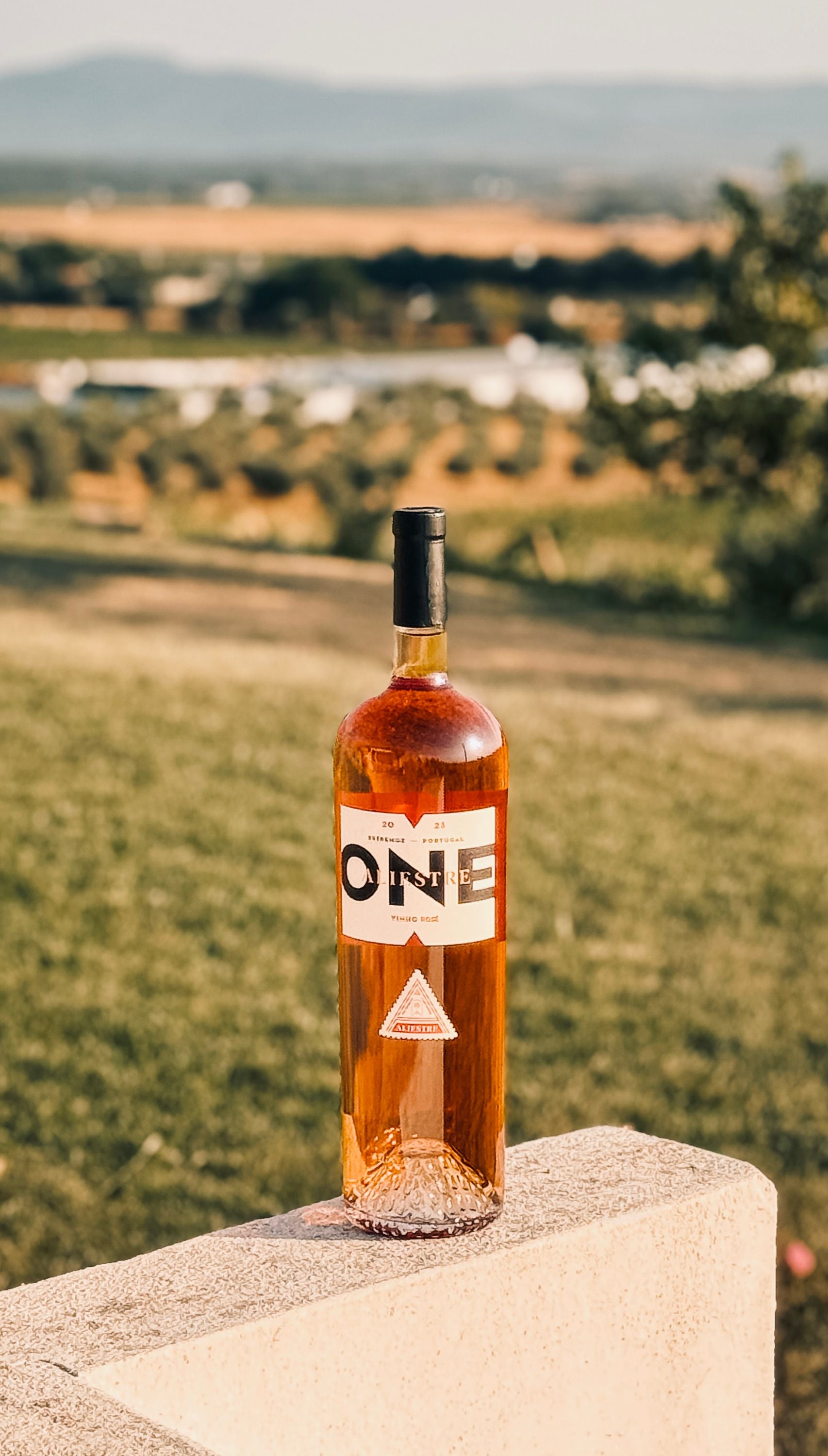 ONE Rosé 2023