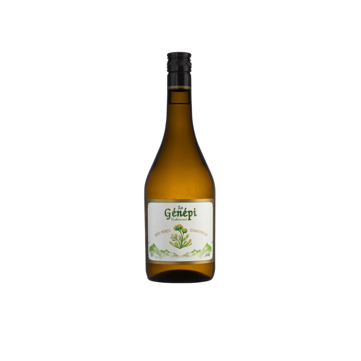 Génépi - Chartreuse - Frankreich