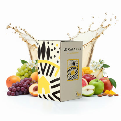 Maison Les Alexandrins Le Cabanon Blanc Dry White Wine Bag-in-Box 3L
