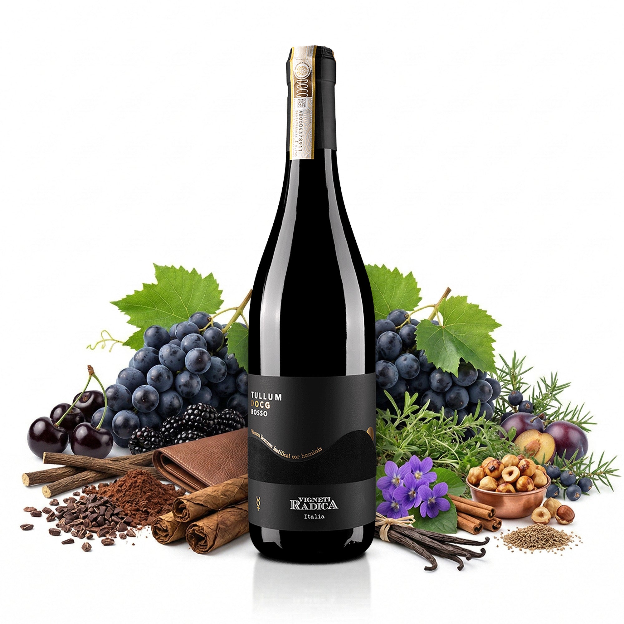 Vigneti Radica Tullum DOCG Rosso Rotwein Kraftvoll Strukturiert 14% vol 0,75 L