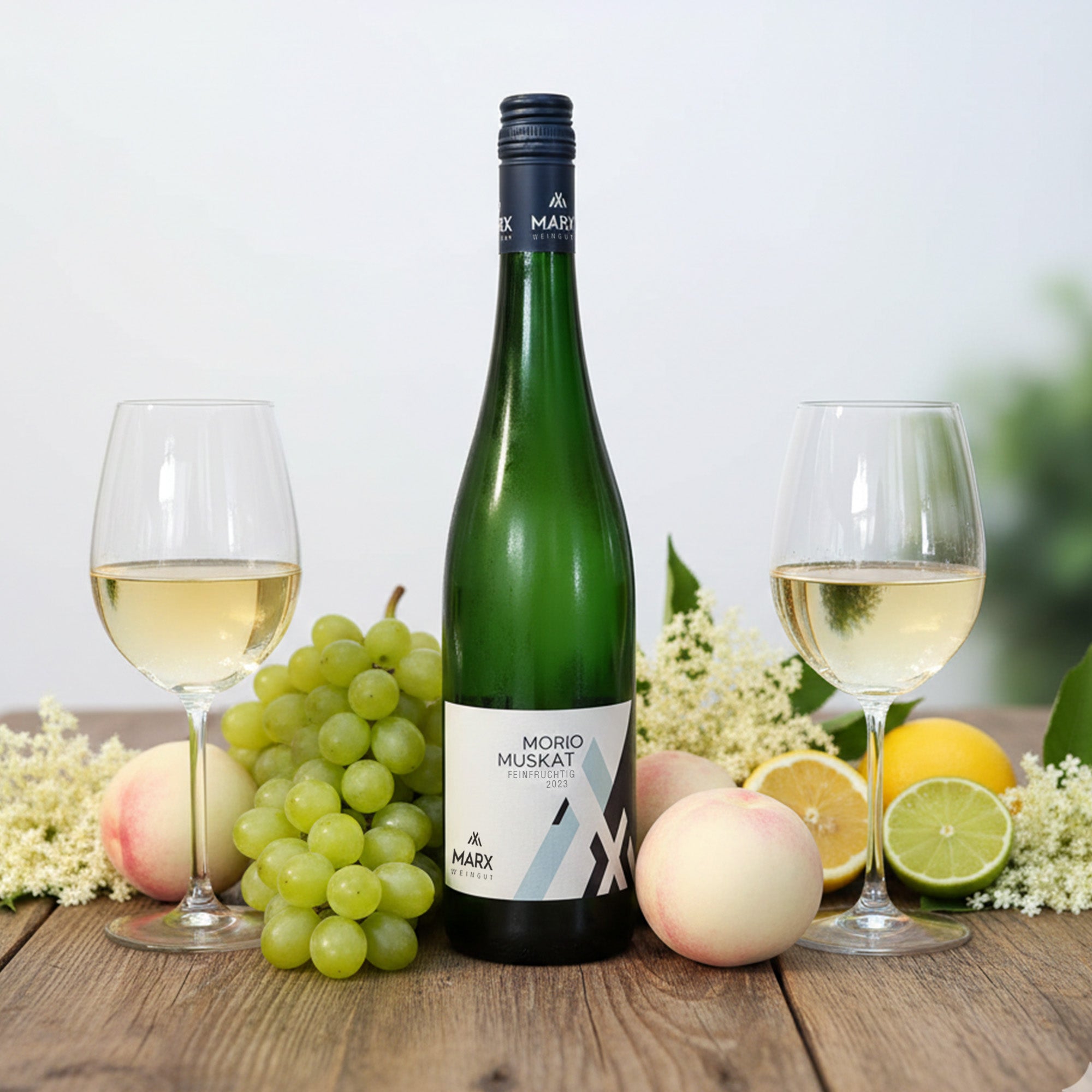 2023 Morio Muskat feinfruchtig | Weingut Marx